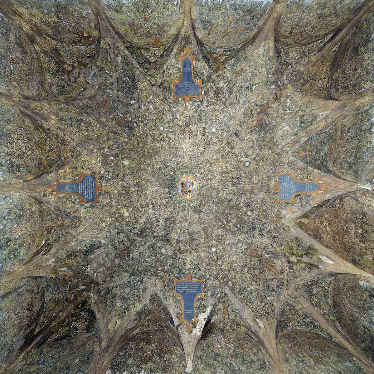 leonardo vinci salla asse ceiling painting