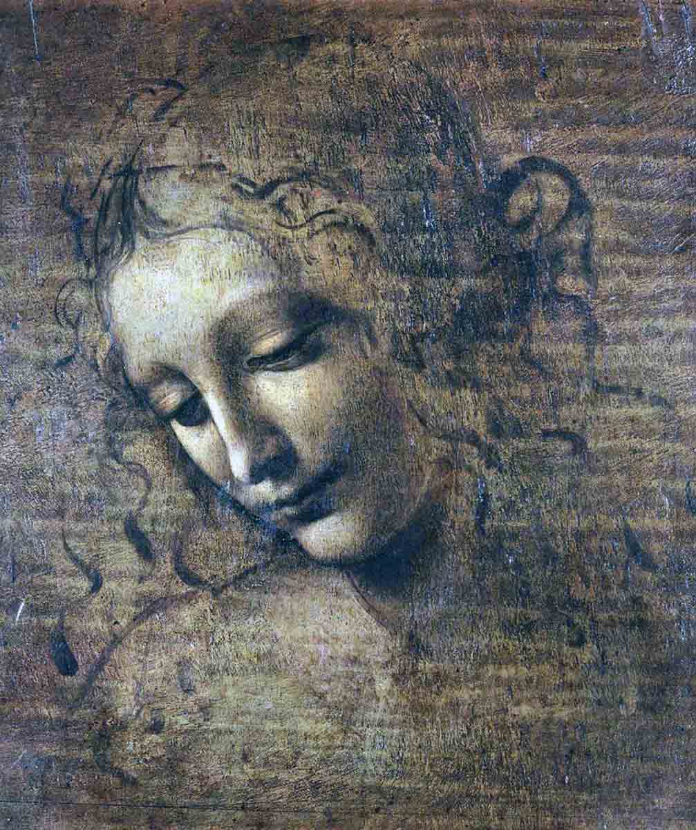 leonardo vinci scapigliata drawing