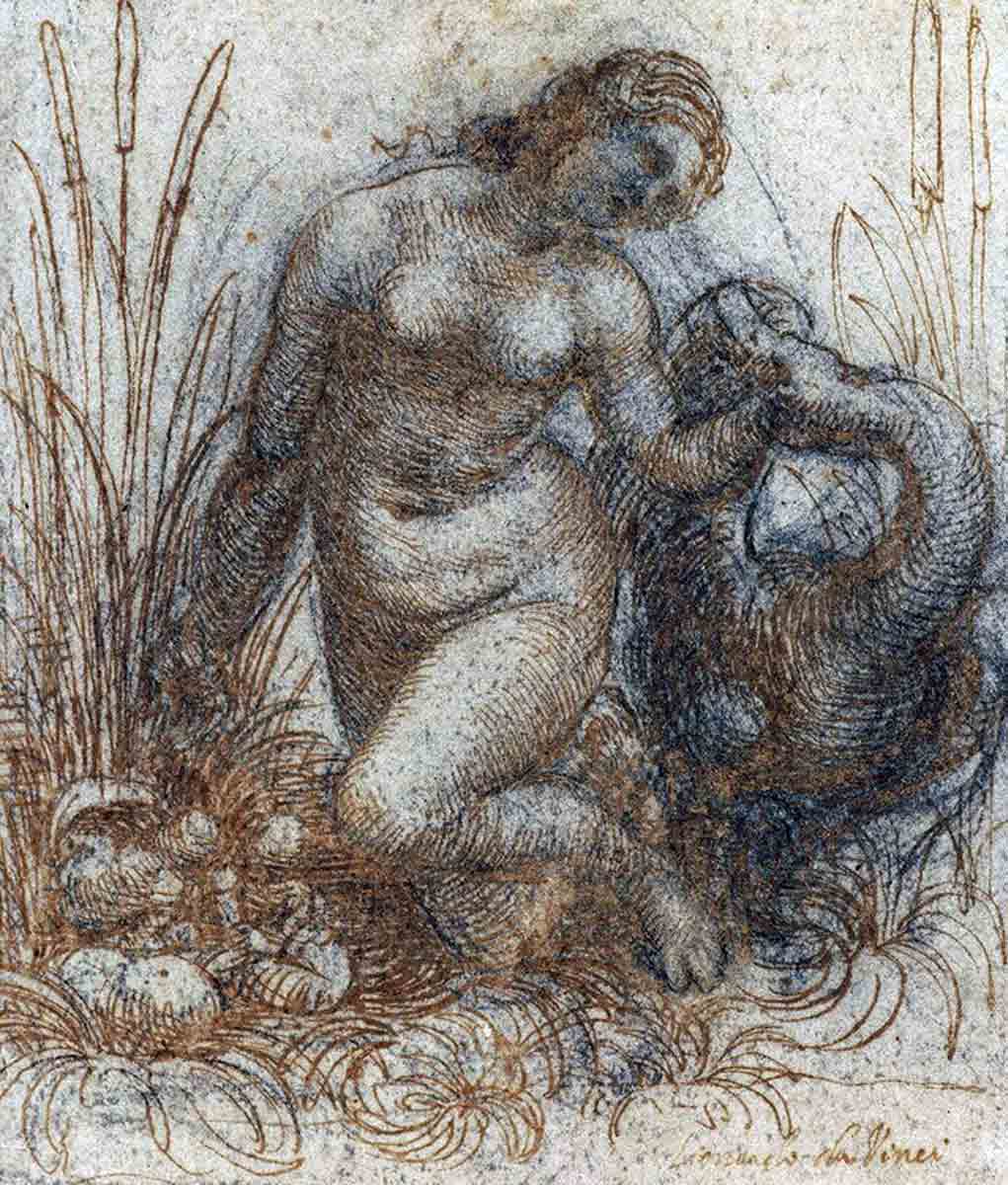 leonardo vinci study kneeling leda swan drawing