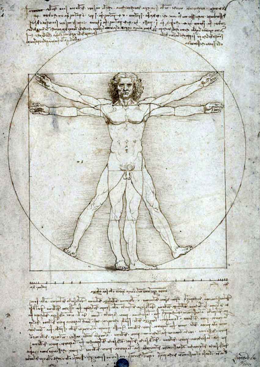 leonardo vinci vitruvian man drawing