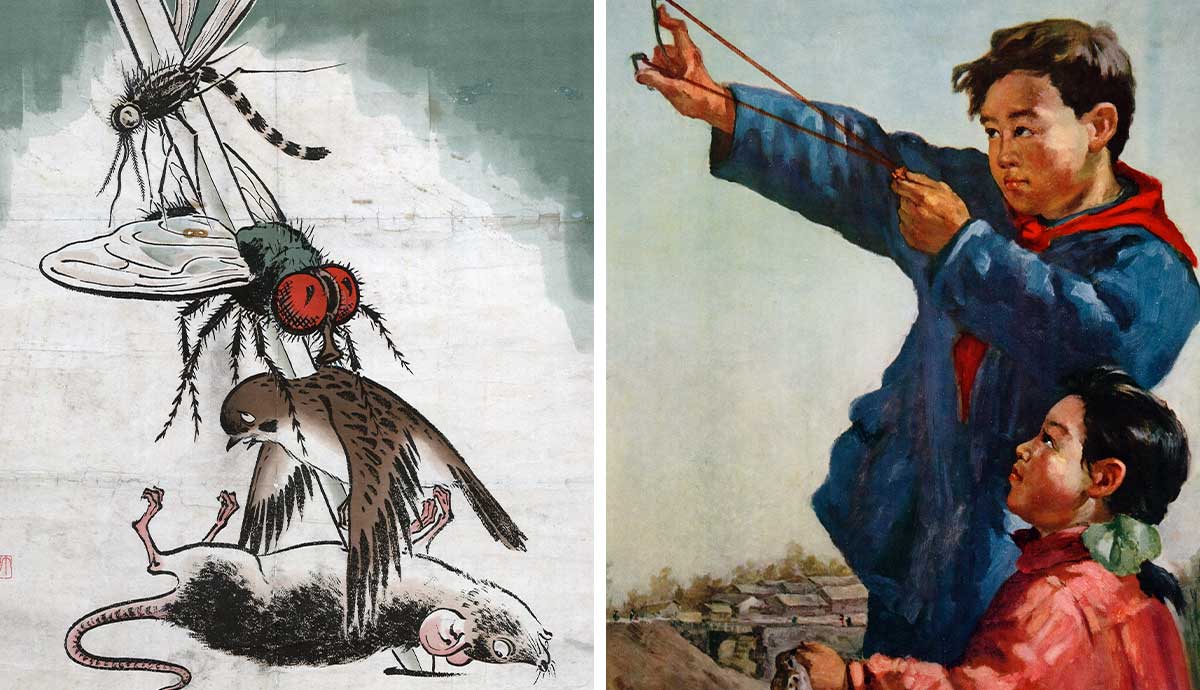 Four Pests campaign illustration and posters