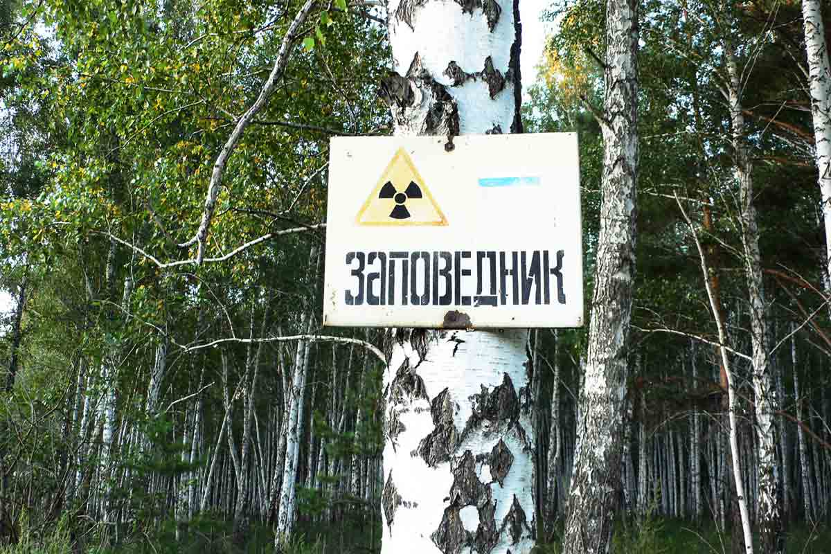mayak nature reserve