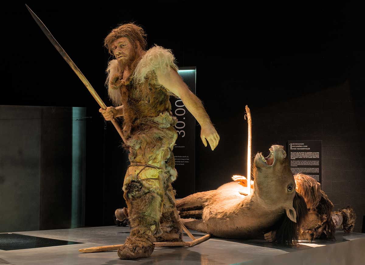 neanderthal hunter fire hardened spear