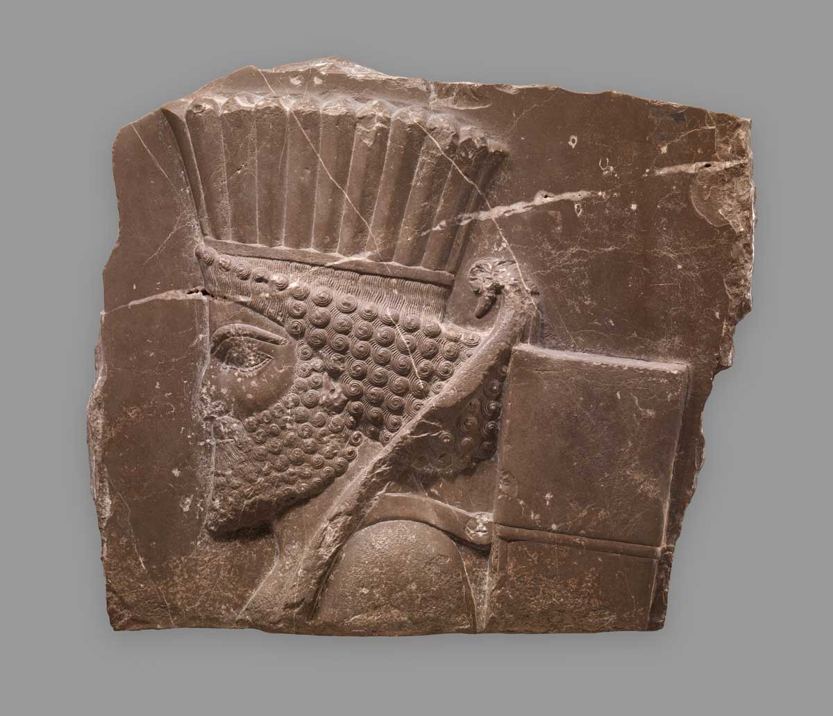 persian guard persepolis