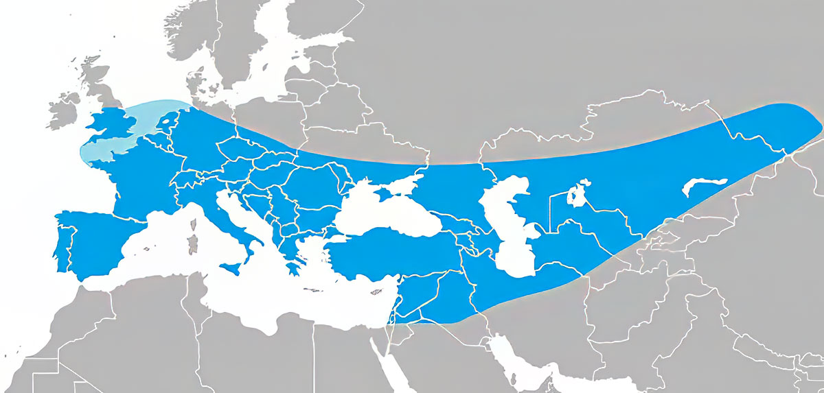 range of neanderthals