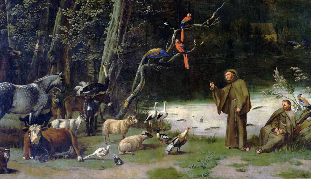 saint francis patron saint of animals