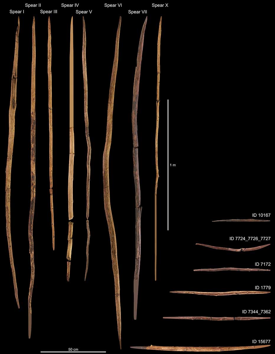 schoningen spears heidelbergensis