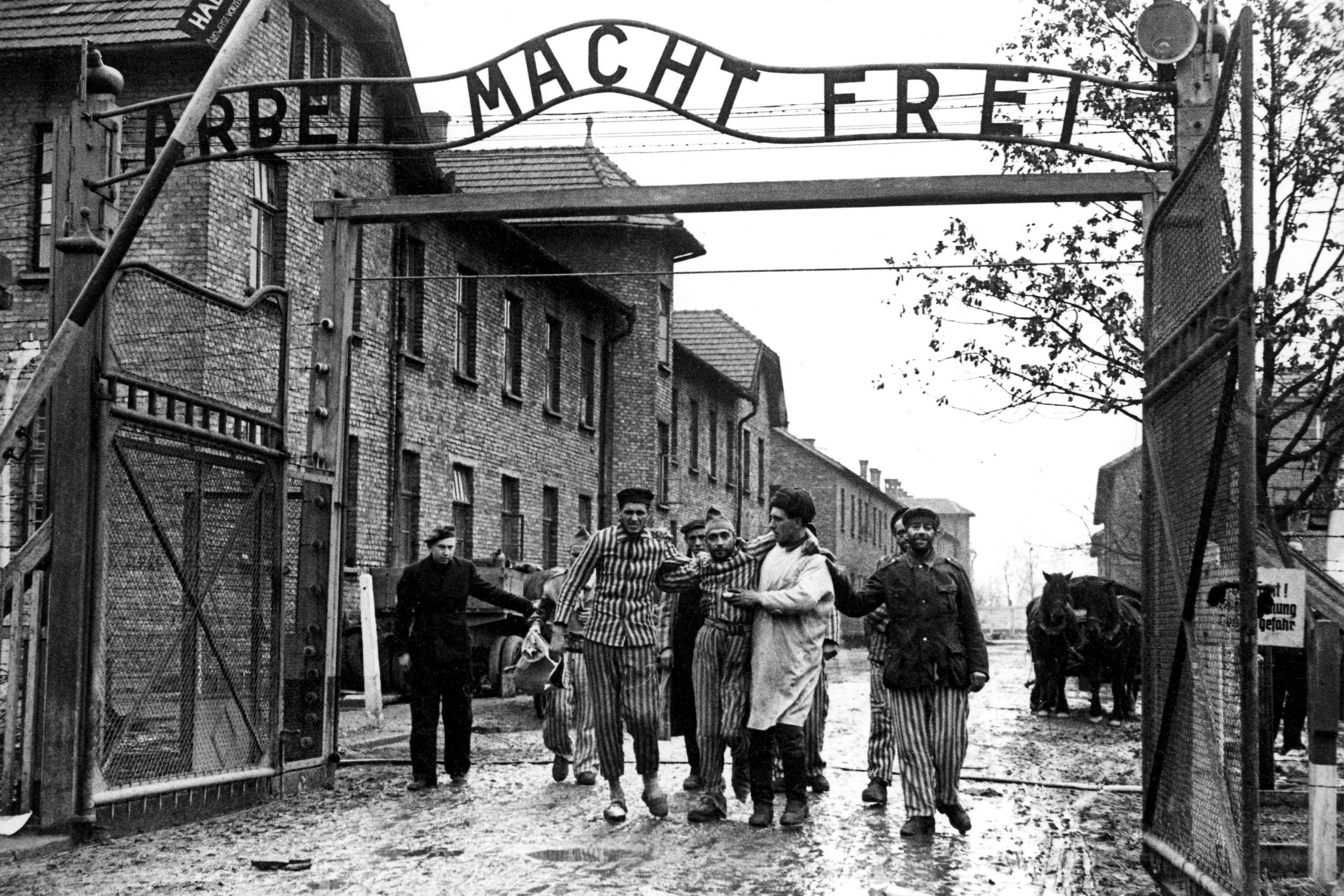 soviet troops liberating auschwitz