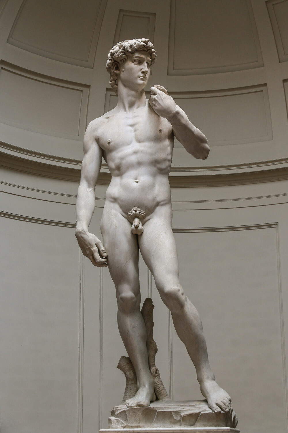 David by Michelangelo, Galleria dell'Accademia, Florence.