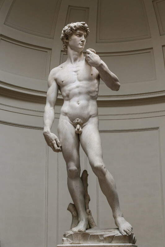 David by Michelangelo, Galleria dell'Accademia, Florence.