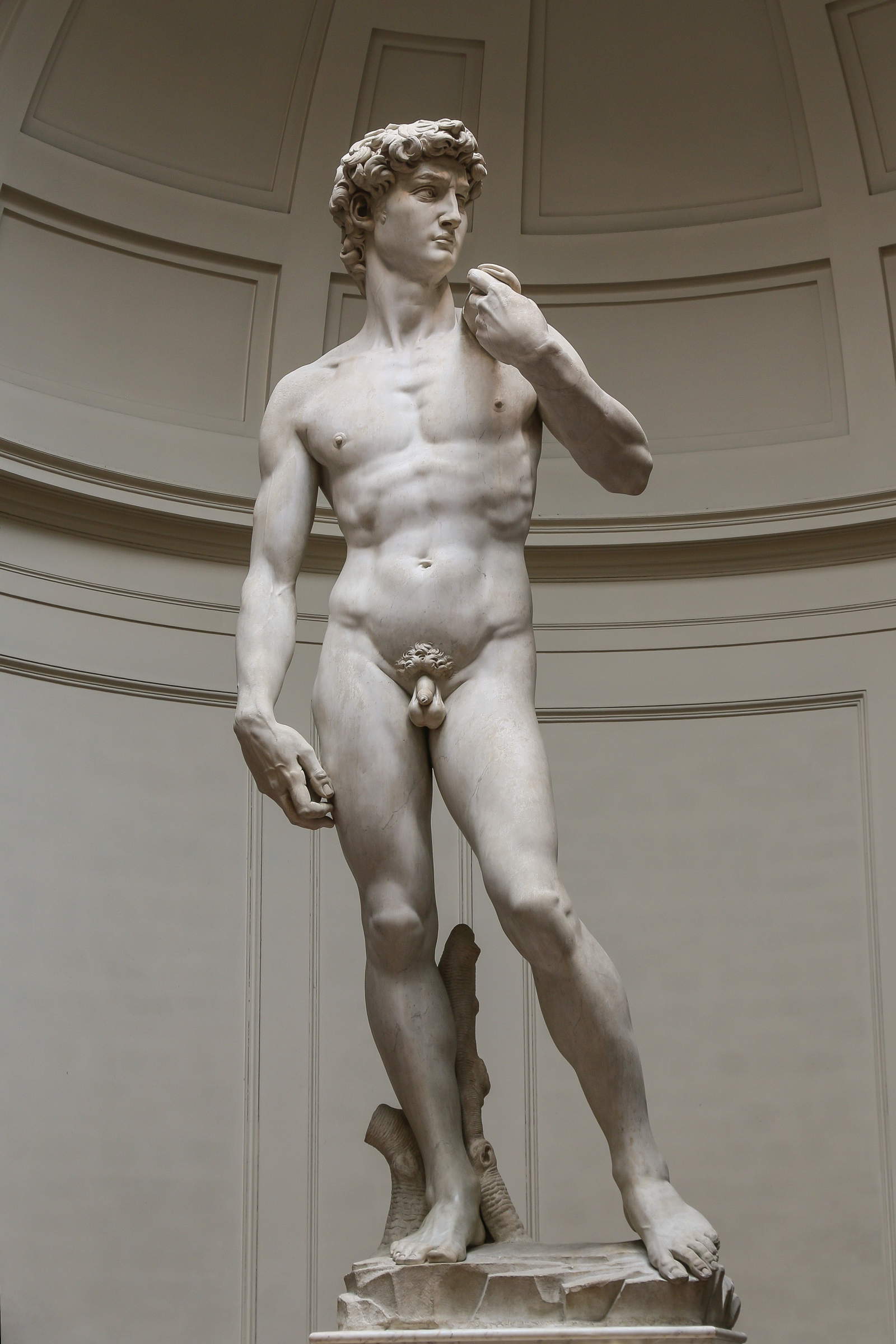 David by Michelangelo, Galleria dell'Accademia, Florence.
