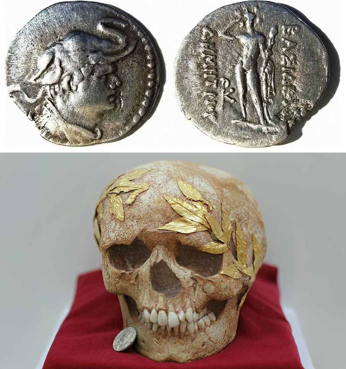 1st century skull