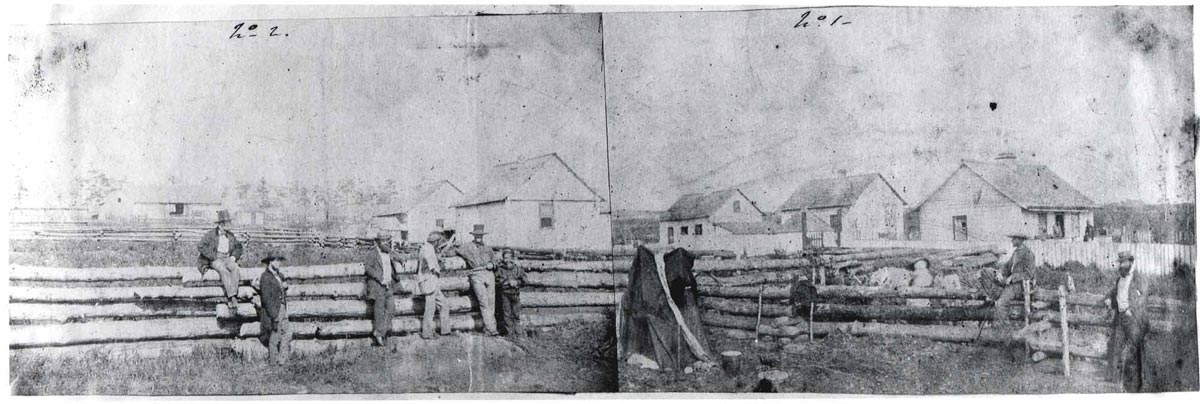 Belle Vue Sheep Farm
