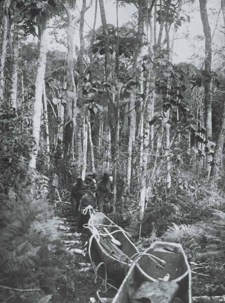 Roosevelt Rondon Dugout Canoes