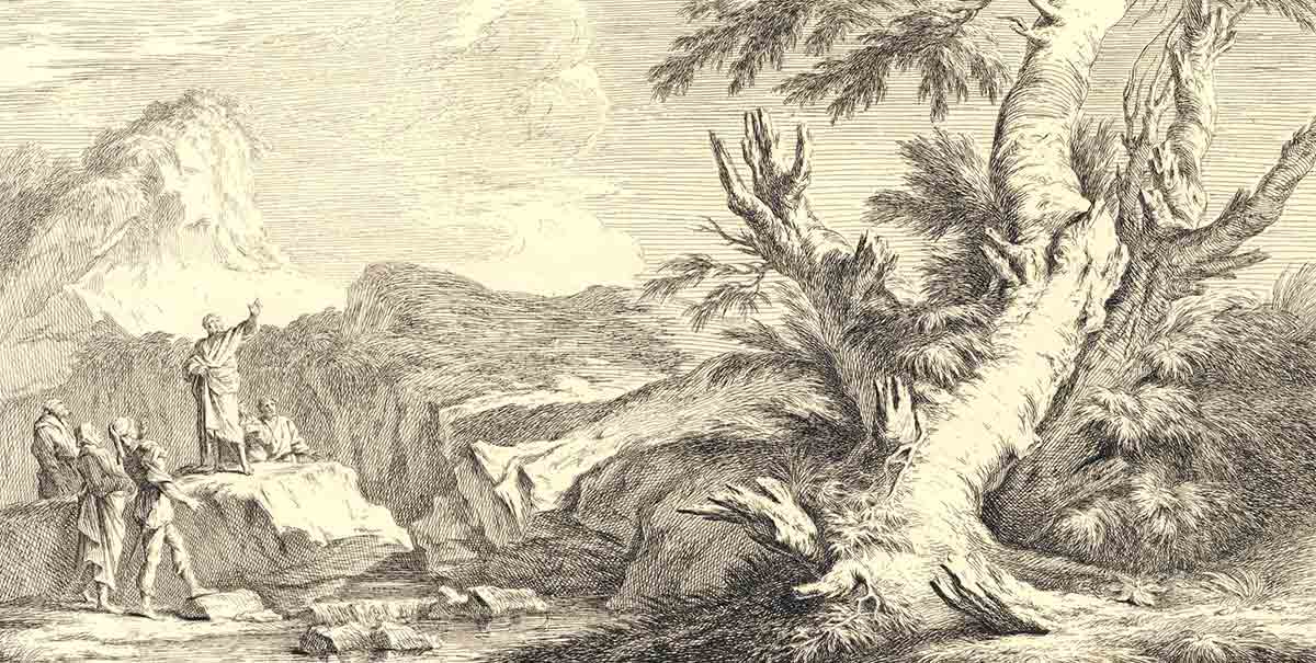 augures print goupy rosa