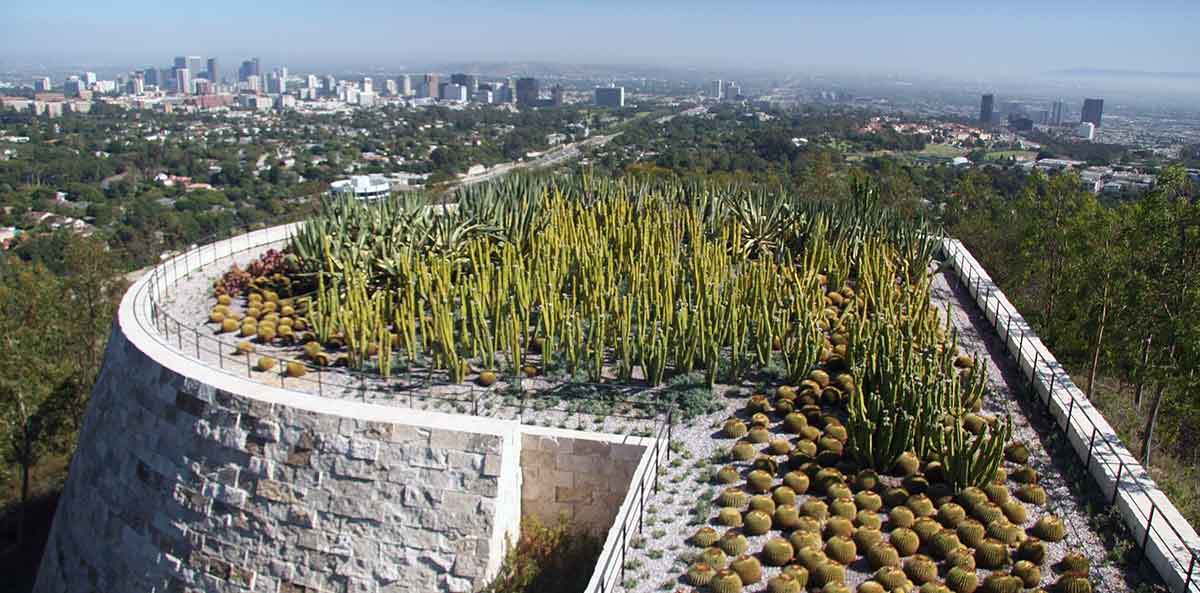 cactus garden getty center