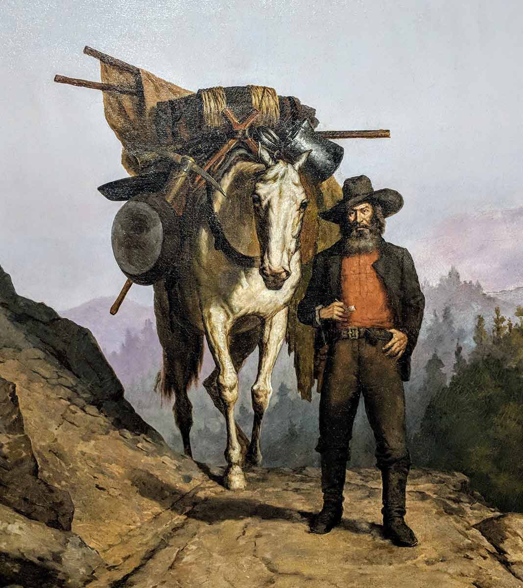 california miner pack horse