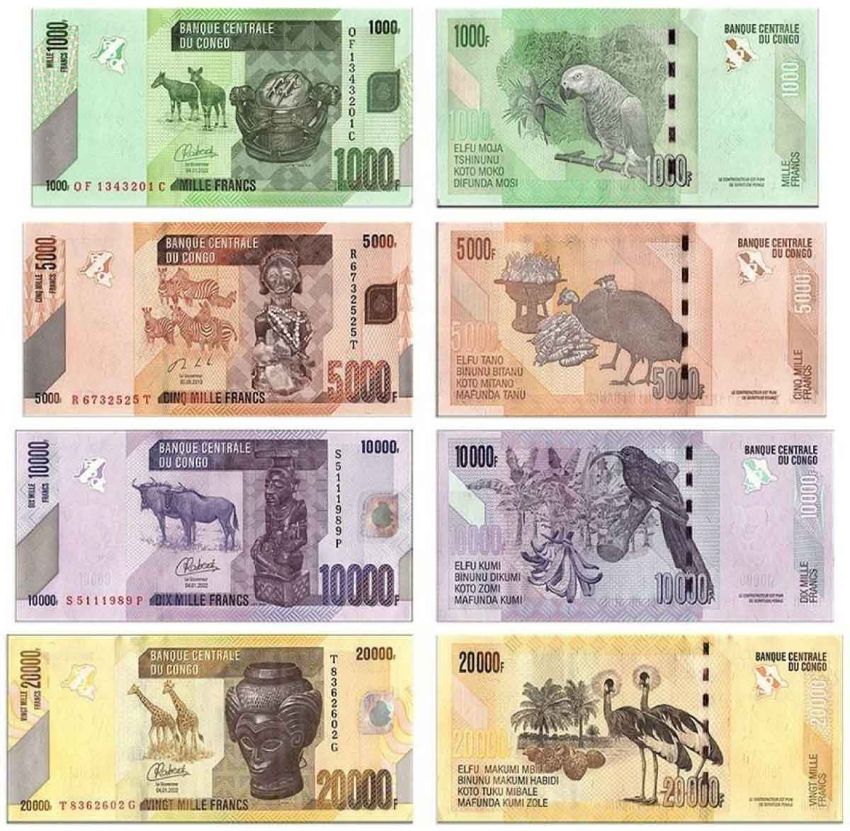 congolese banknotes artworks