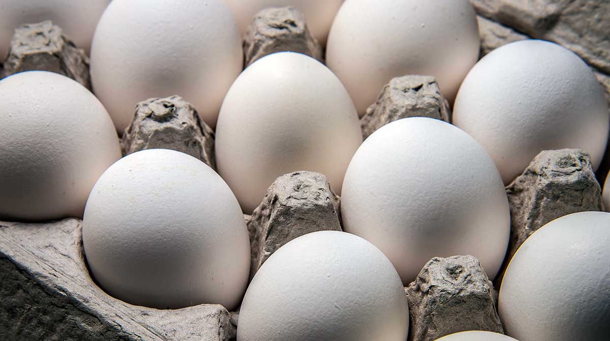 egg carton closeup foodborne illness