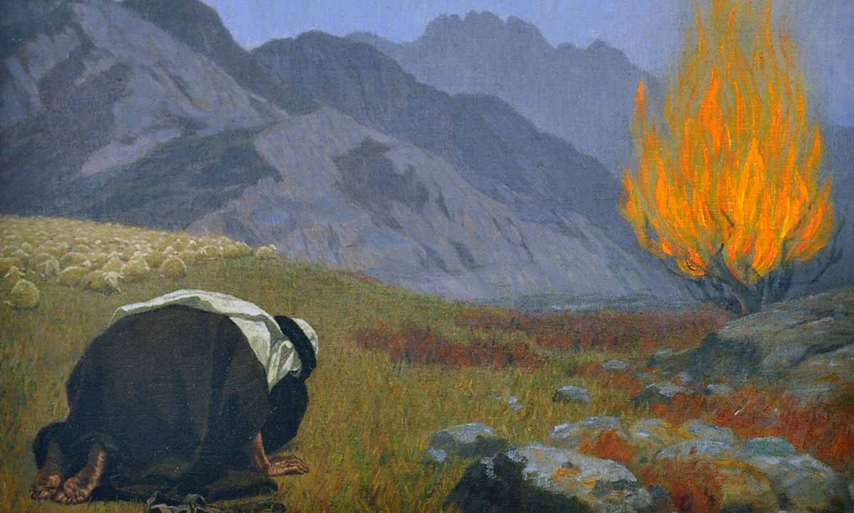 fugel moses burning bush