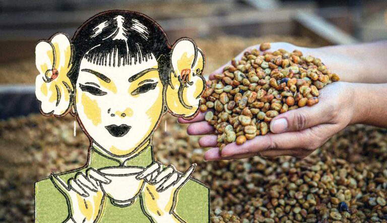 Illustration of a Geisha drinking coffee and coffee beans