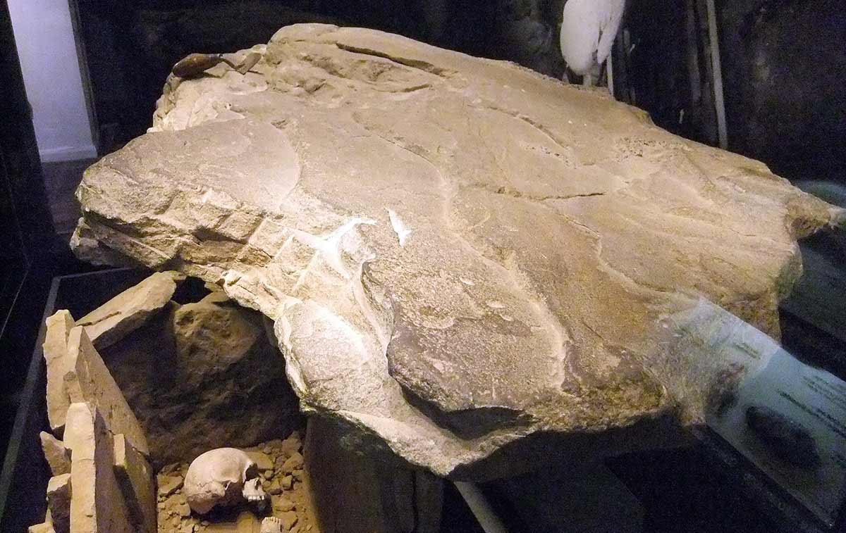 grave brymbo man wrexham museum
