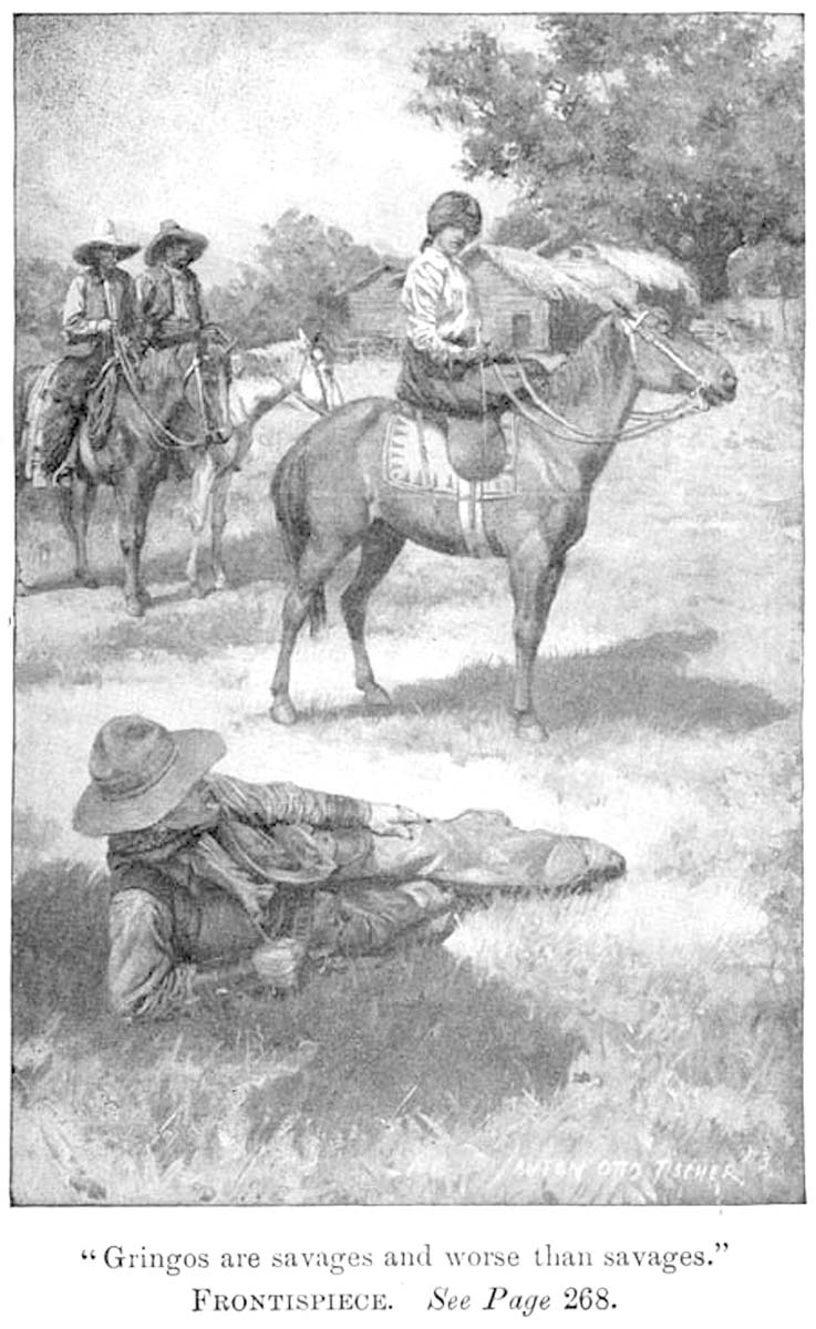 gringo novel illustration 1800s