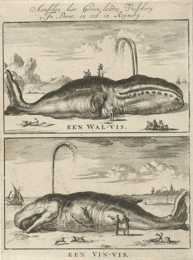jan luyken walvis en vinvis 1684