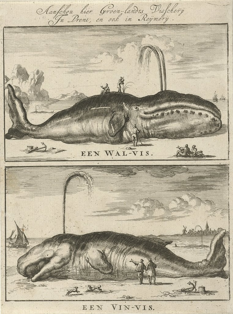 jan luyken walvis en vinvis 1684