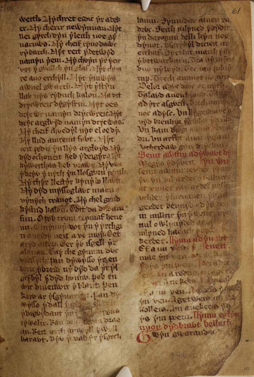 llyfr gwyn rhydderch
