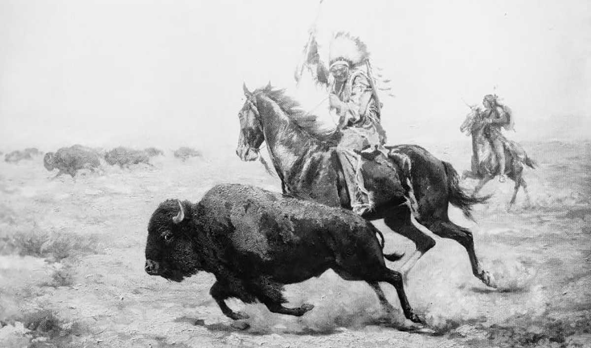 native american hunting buffalo