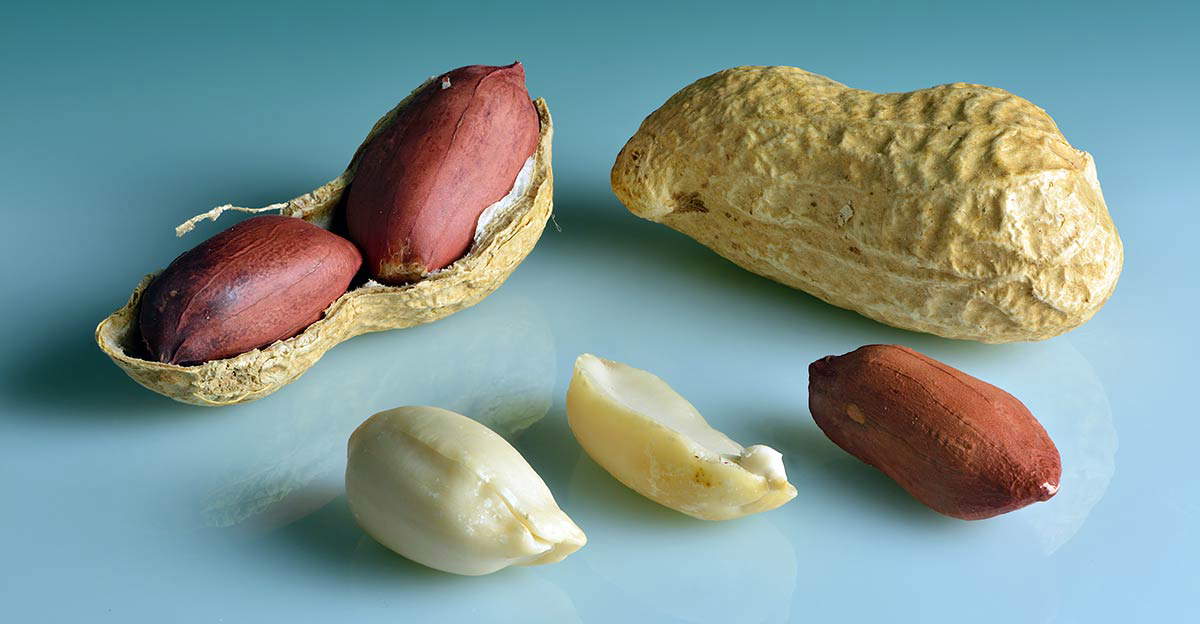 peanut shell photo foodborne illness