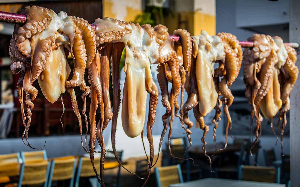 pexels octopuses urban