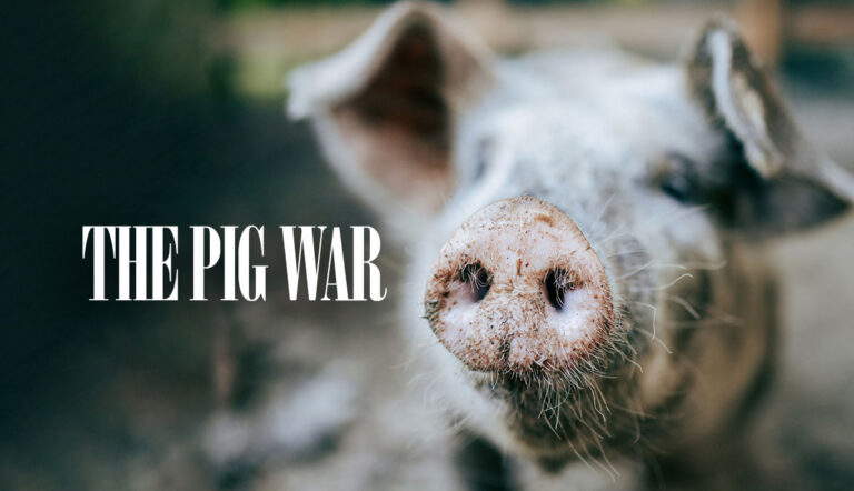 The Pig War title card with close-up of a pig's snout