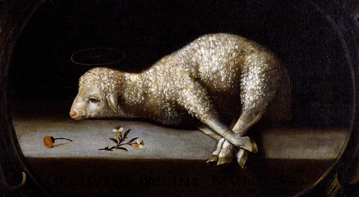 sacrificial lamb ayala