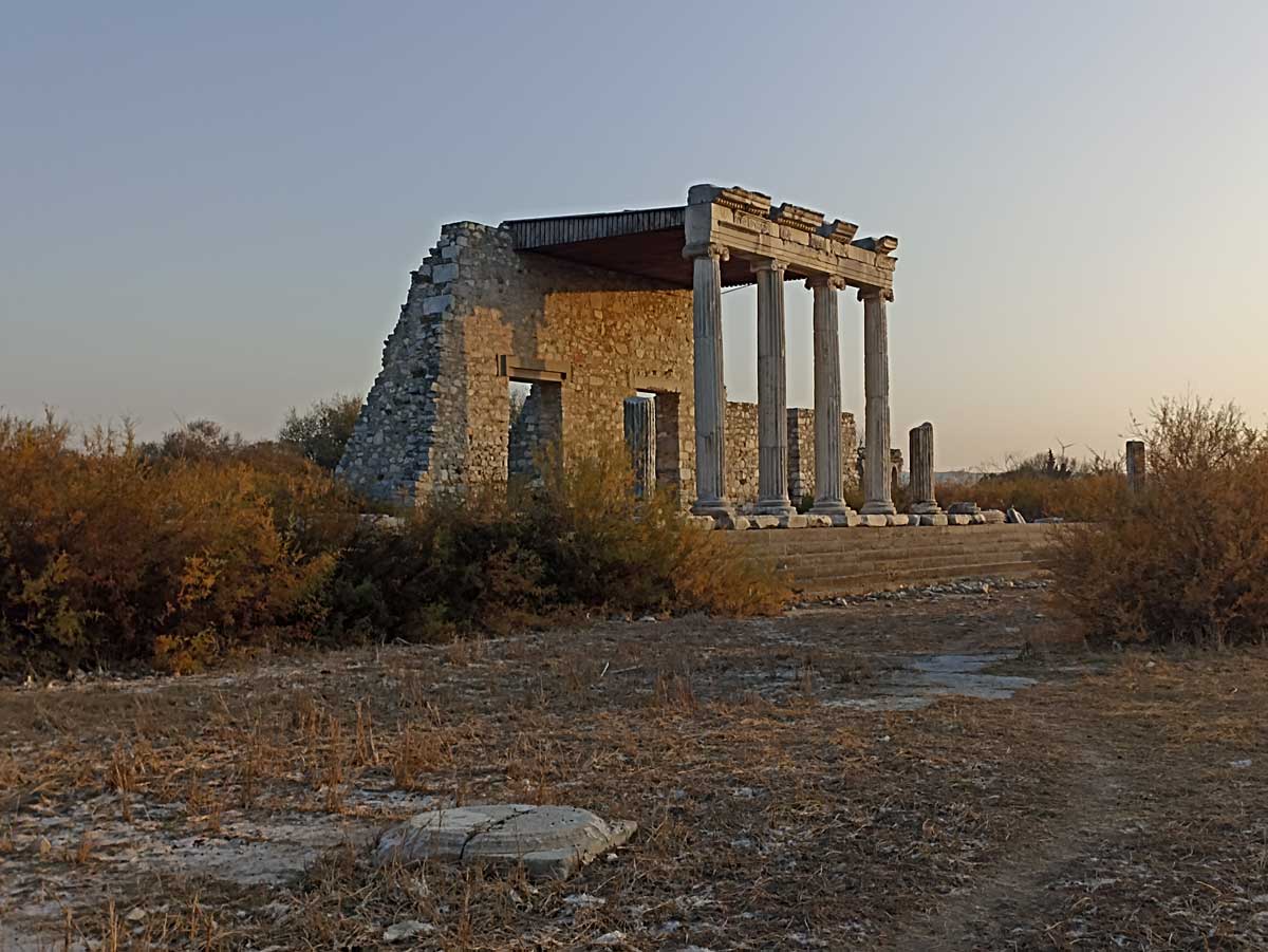 stoa miletus 2024