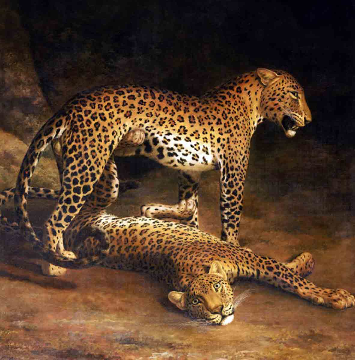 two leopards jacques laurent common sayings