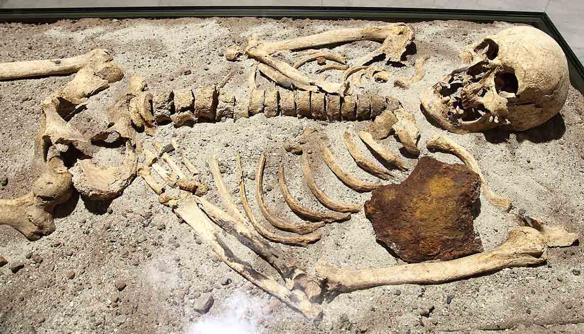 vampire skeleton