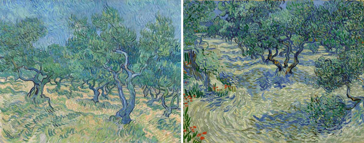 van gogh olive groves