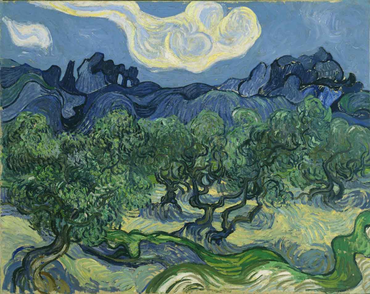 van gogh olive trees with alpilles