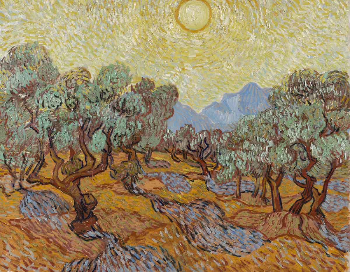 vincent van gogh olive trees