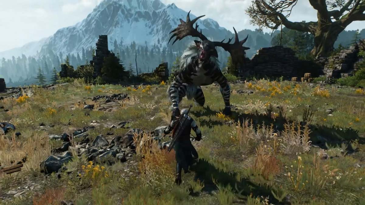 witcher iii wild hunt