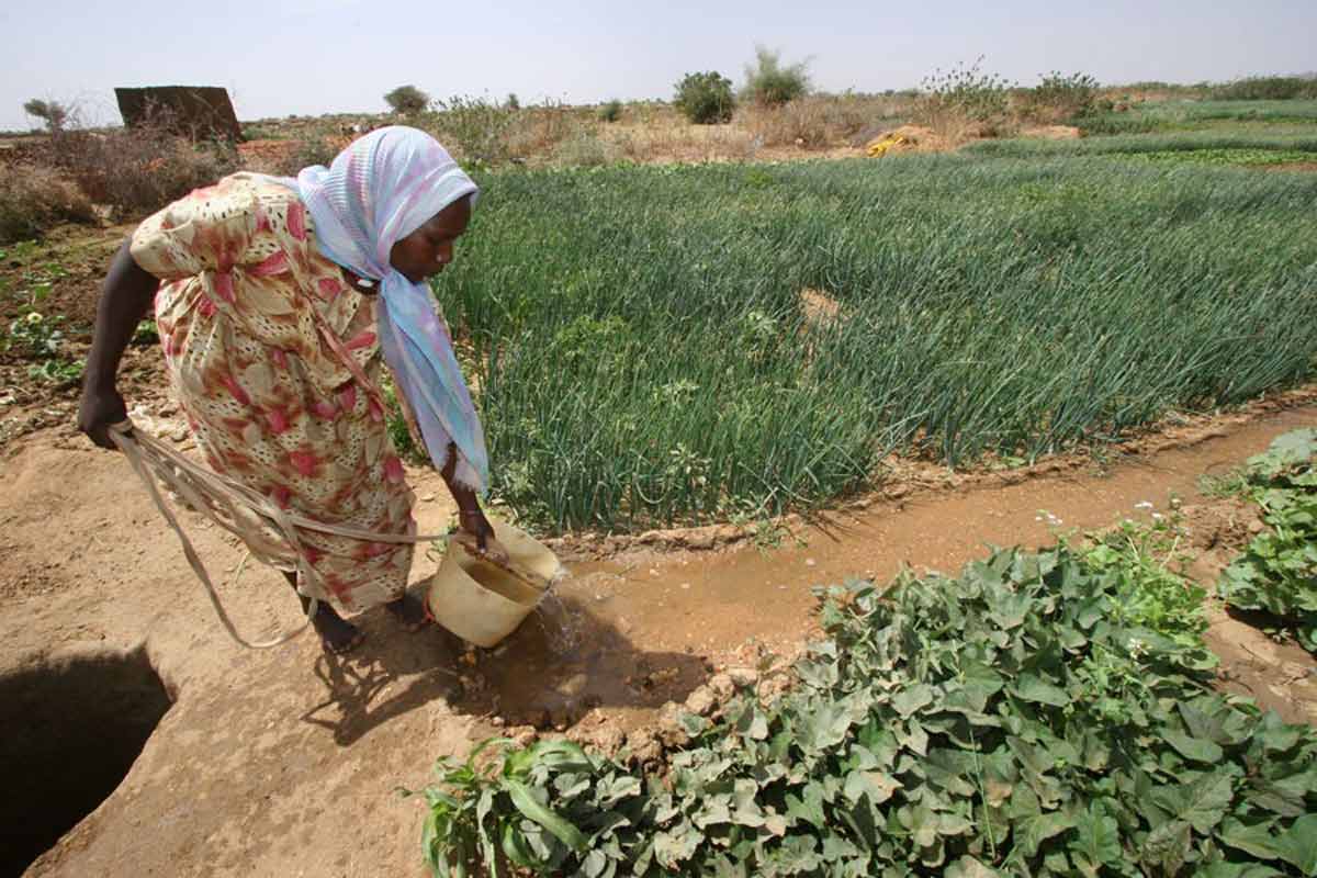 woman irrigating crops