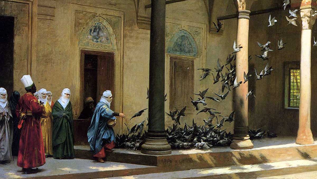 women in harem feeding pigeons in courtyard
