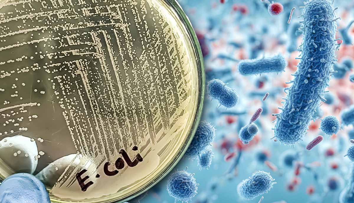 worst foodborne disease outbreaks