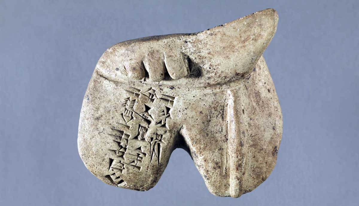 Amorite clay liver model