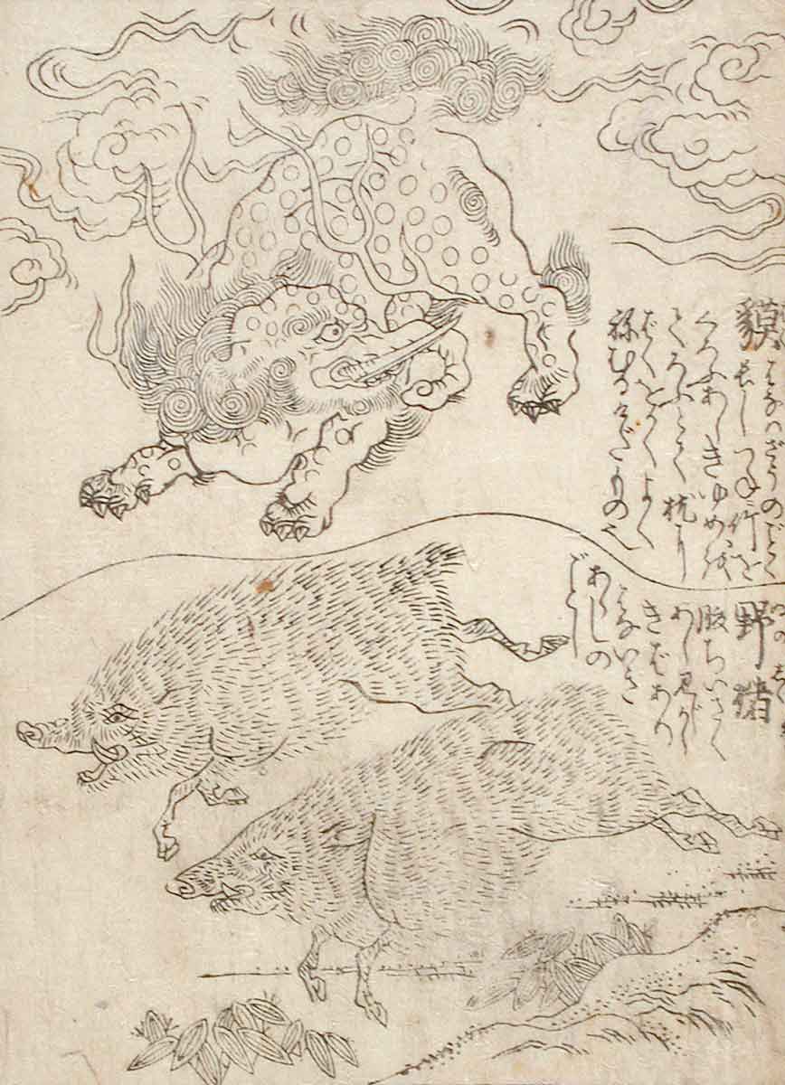 Baku Boars print