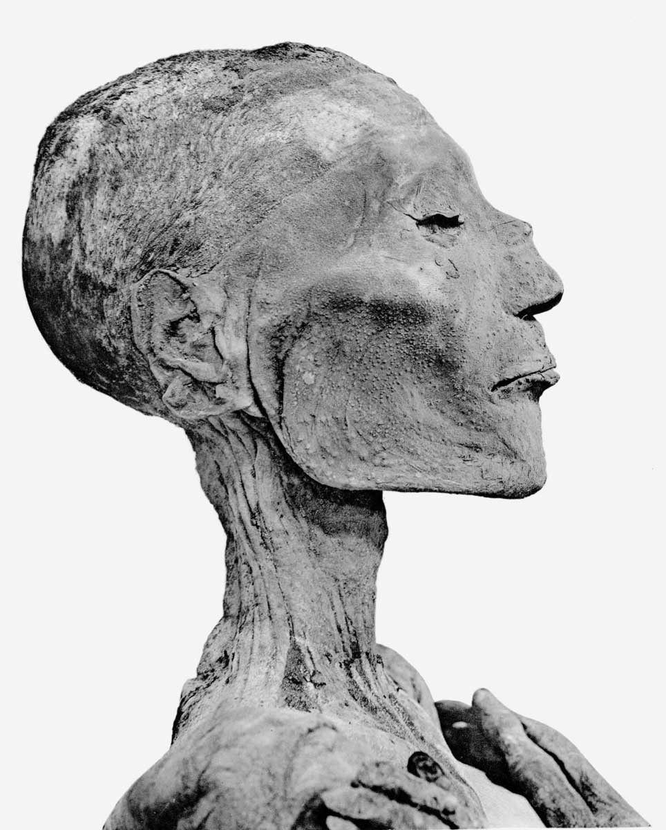 Ramses V mummy head copy