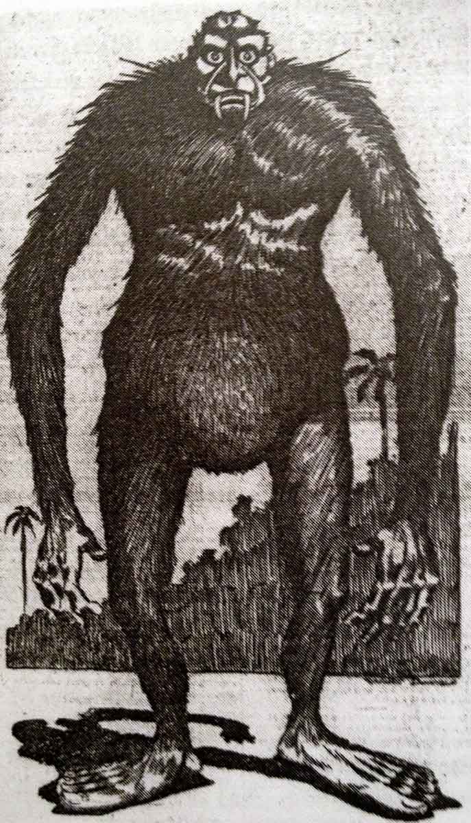 bombala yowie illustration honey island swamp monster