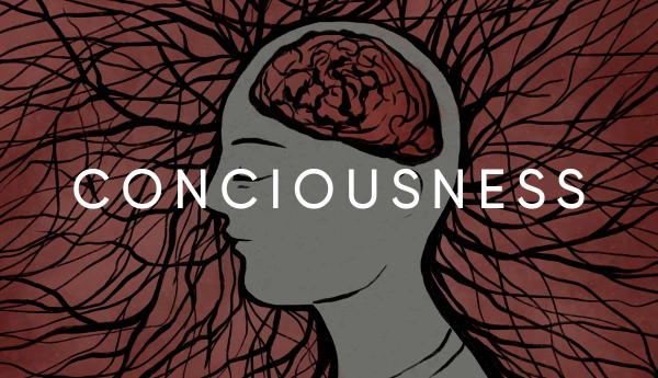Profile of a head with "CONCIOUSNESS" text overlay